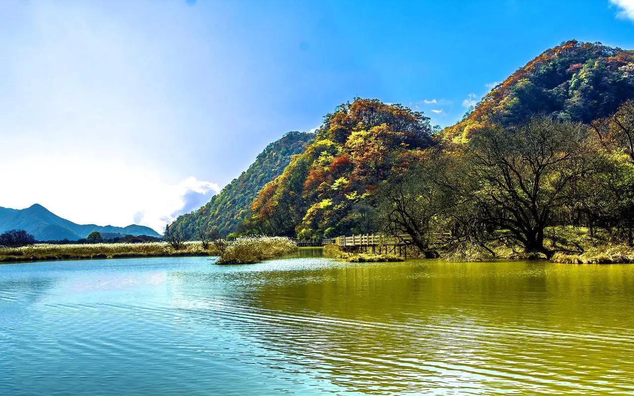 高效稳定性